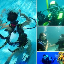 Урок дайвинга. Discover Scuba Diving. Закрытая вода